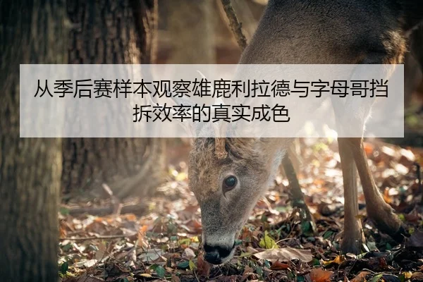 从季后赛样本观察雄鹿利拉德与字母哥挡拆效率的真实成色